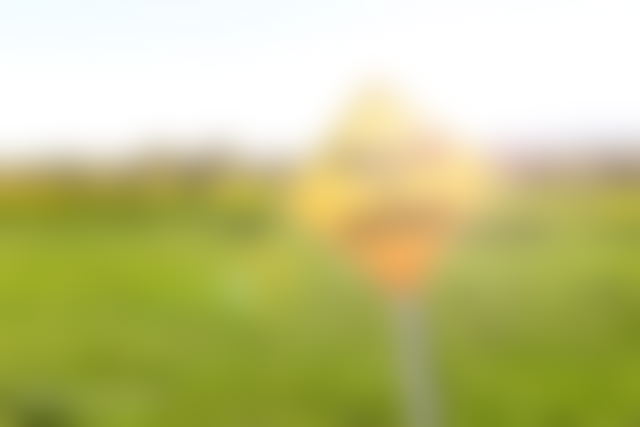 177 m² Land Plot in Almaz, Casablanca with Street Frontage — Casablanca