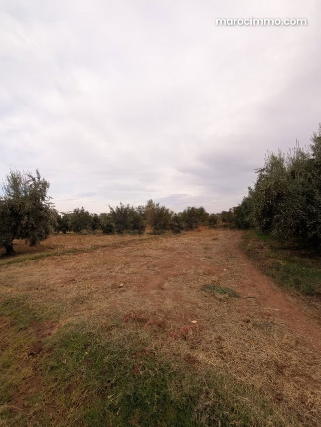 Terrain Agricole de Prestige sur la Route de Fès — 4