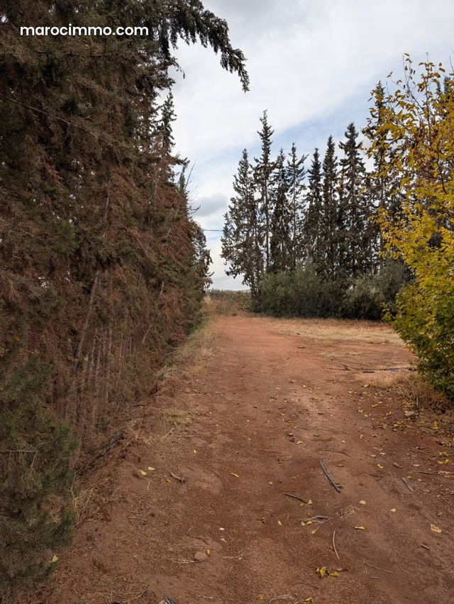 Terrain Agricole de Prestige sur la Route de Fès — Marrakech