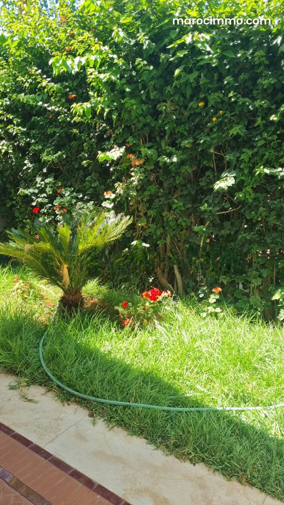 300 m² Plot of Land for Sale in Ain Attig – Excellent Land Investment Opportunity — Ain Attig