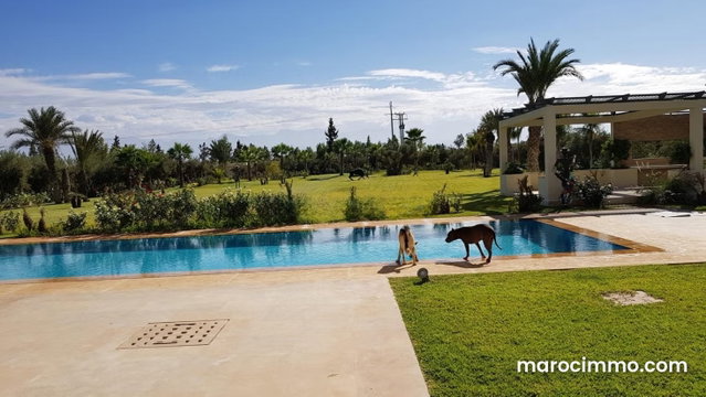 Très joli villa royute d'ourika — 3