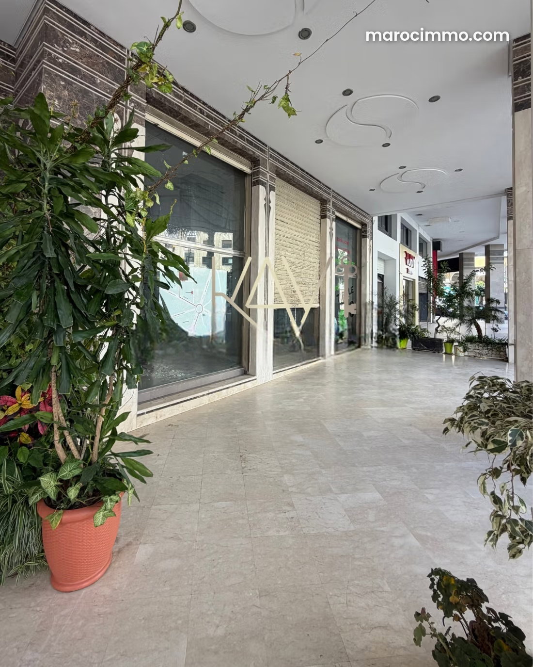 Local commercial à louer au Centre de Tanger, 1000 m² — Tanger