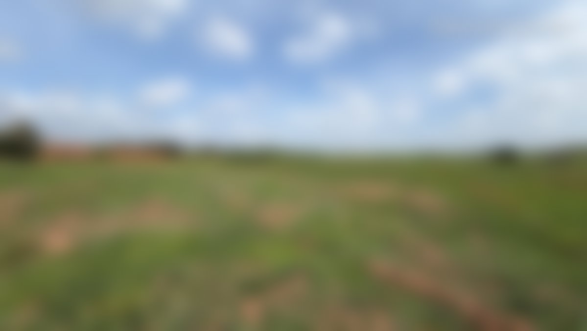 أرض صناعية 25 000 م² للبيع بآيت أورير