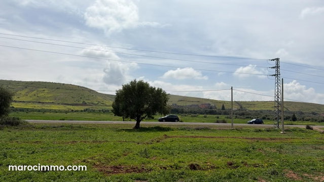 Industrial Land – Category 2 Zone of 25,000 m2, — 4