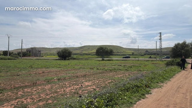 Industrial Land – Category 2 Zone of 25,000 m2, — 3