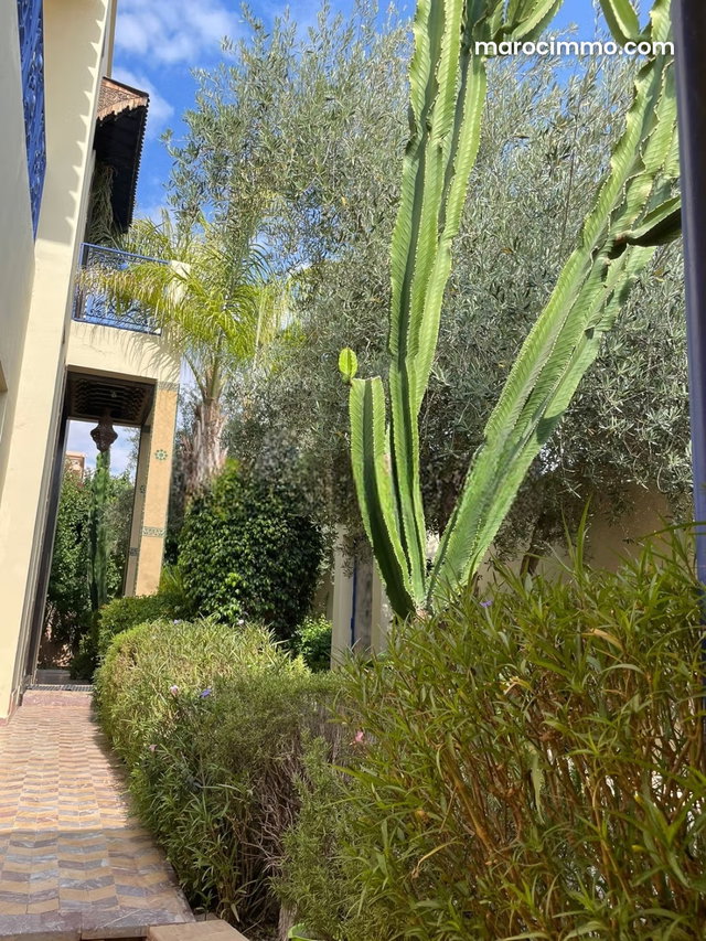 Villa d’exception à louer à la Palmeraie — 3