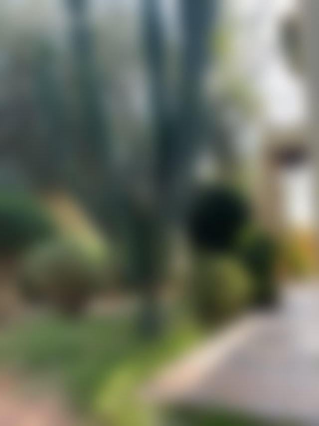 فيلا فاخرة للكراء بحي بالميراي في مراكش — 4