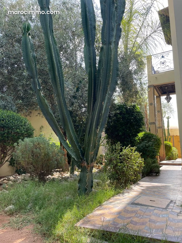 Villa d’exception à louer à la Palmeraie — 4