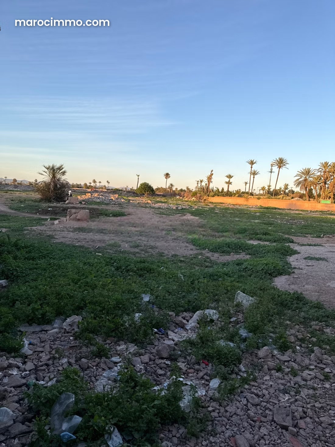 أرض شاسعة في قلب النخيل بمراكش — مراكش