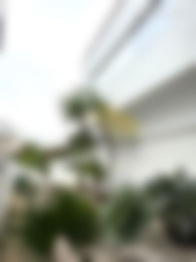 Bureau 445 m² avec jardin et terrasse, Agdal, Rabat — Rabat