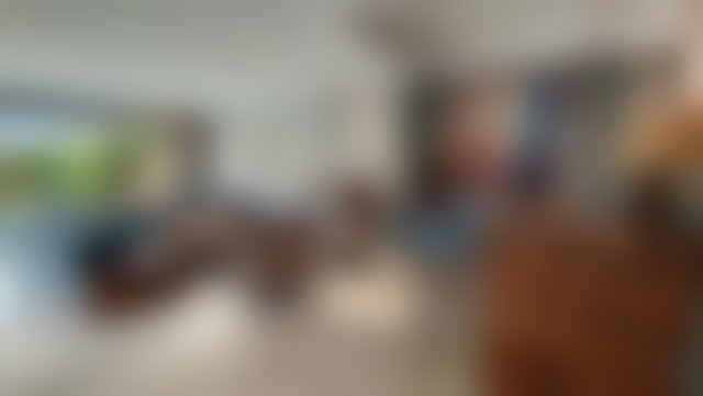 فيلا مفروشة راقية بالمسبح والحديقة في أكدال مراكش — 2