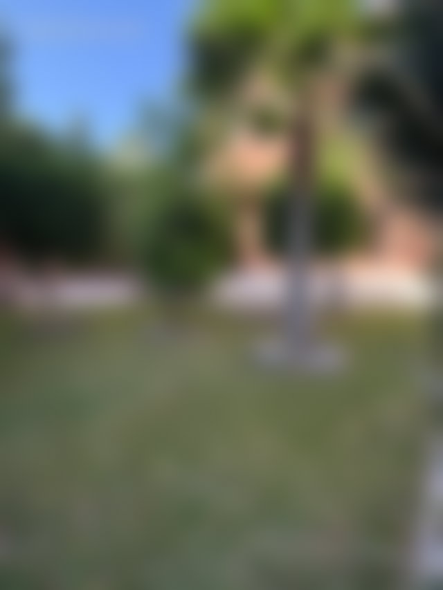Villa 450 m² avec piscine et jardin, Palmeraie, Marrakech — 2