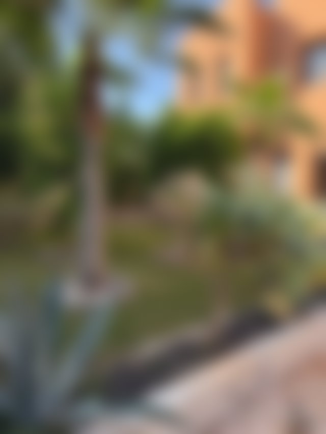 Villa 450 m² avec piscine et jardin, Palmeraie, Marrakech — 3