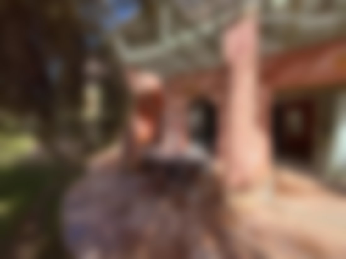 Appartement 4 pièces avec jardin, Portes de Marrakech
