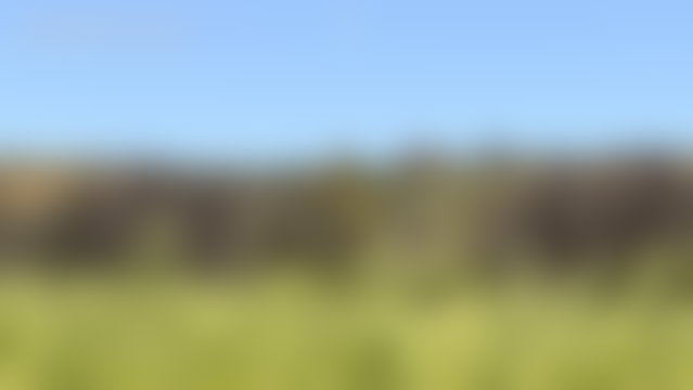Villa 300 m² sur 1 hectare arboré, vue panoramique, Essaouira — 2