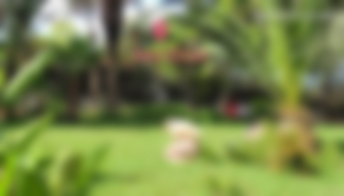 Appartement 230 m² avec terrasse à louer à Agdal Rabat