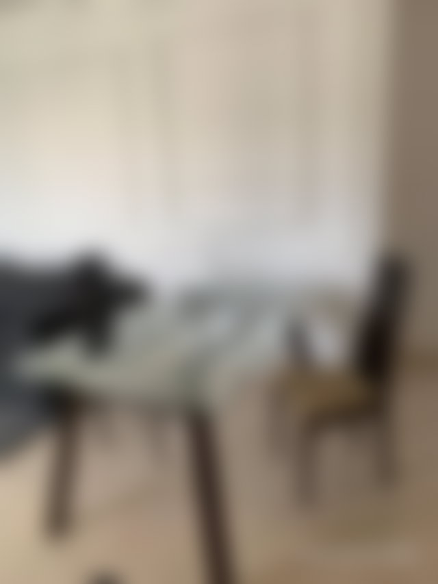 Furnished Apartment with Sea View in Aïn Diab, Casablanca — 5