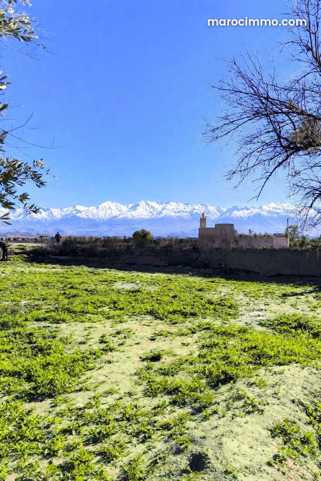Terrain 3700 m² vue Atlas, Route d'Agadir Essaouira Marrakech — Marrakech