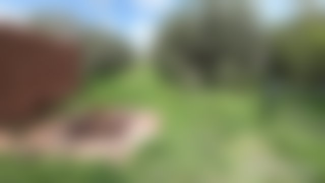 مزرعة زيتون جاهزة للإنتاج في آيت أورير — 3