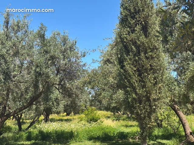 Jolie ferme à vendre à Route de Fez. Superficie 24700 m². Places de parking — 3