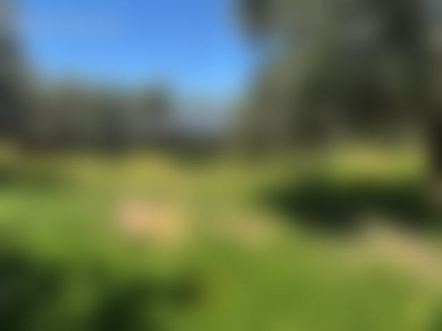 مزرعة مسوّرة للبيع على طريق فاس بمراكش — 2