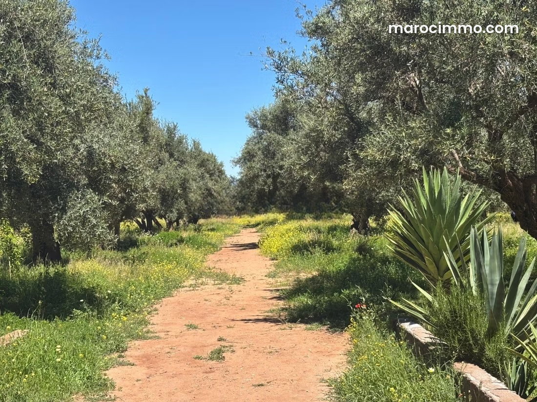 24,700 m² Farm for Sale on the Route de Fès, Marrakech — Marrakesh