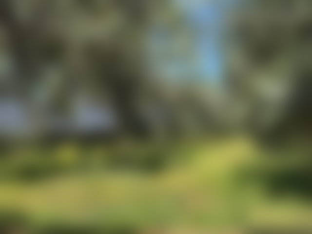 مزرعة مسوّرة للبيع على طريق فاس بمراكش — 4