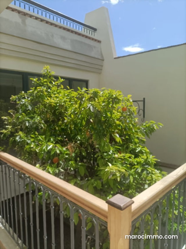 Riad d'exception – 180 m² habitables – Terrasses de 80 m² – Titre foncier clair – Bab Doukkala — 3