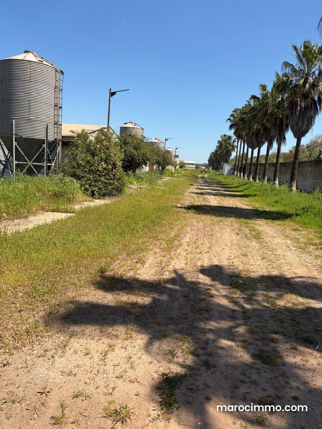 10-Hectare Agricultural Land in Sidi Yahya Zaer — Sidi Yahya Zaer