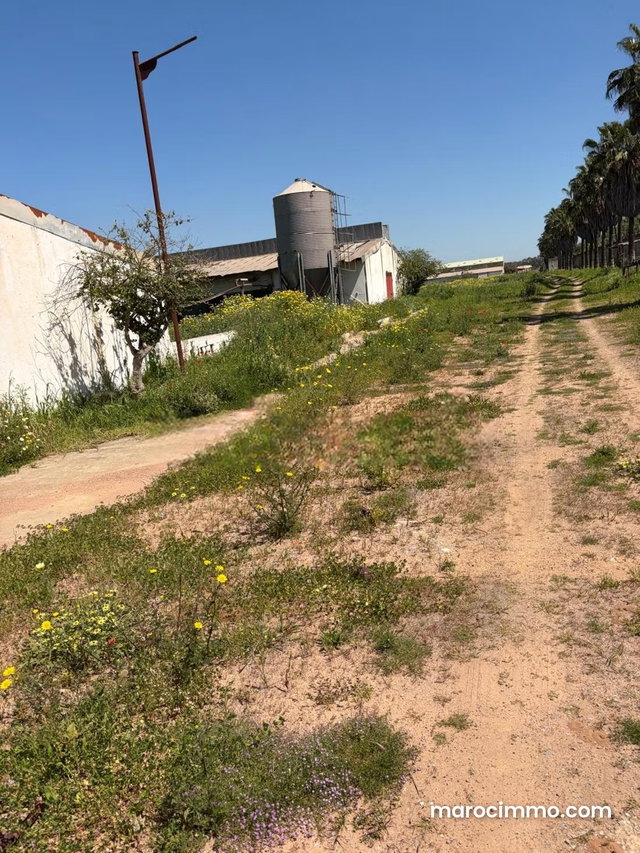 Sidi Yahya Zaers Agricultural Property with Wall — 3