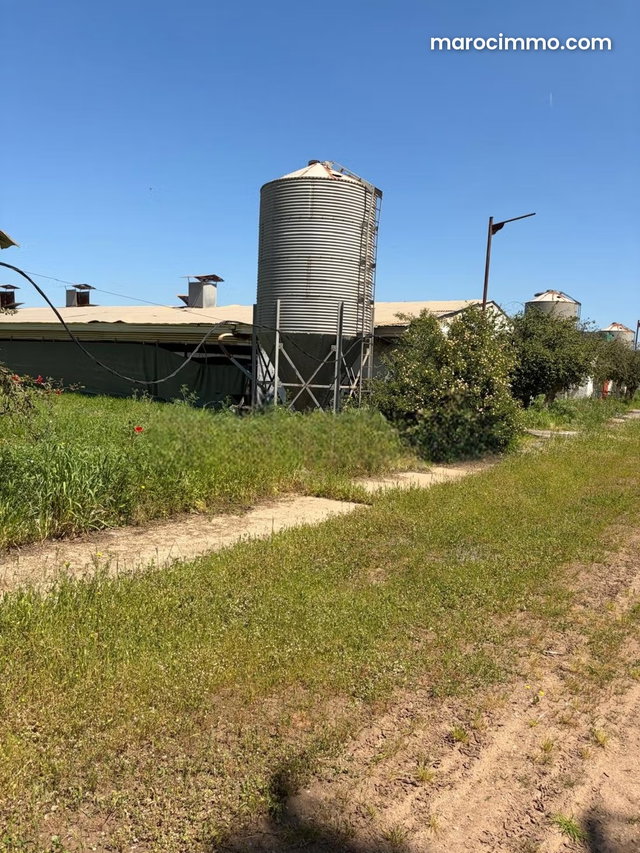 Sidi Yahya Zaers Agricultural Property with Wall — 5