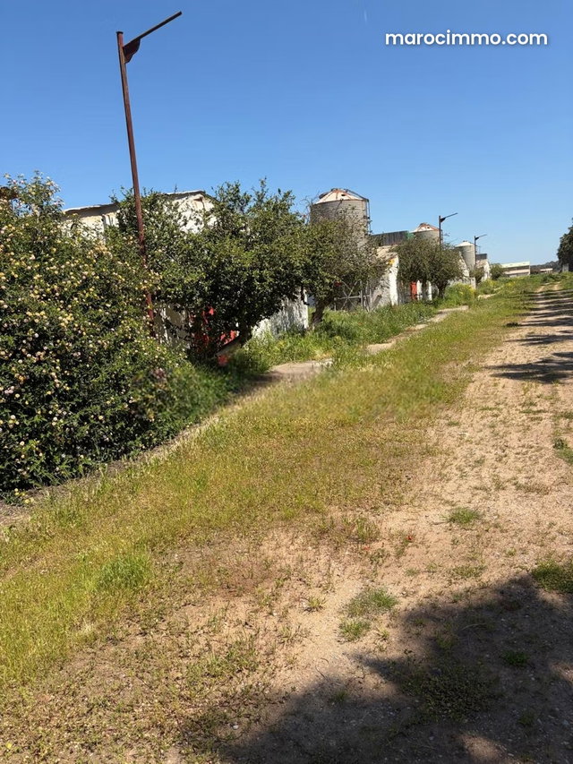 Sidi Yahya Zaers Agricultural Property with Wall — 2