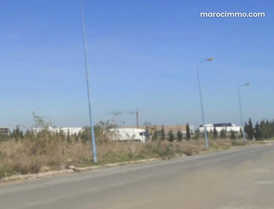 Land for sale in Sapino