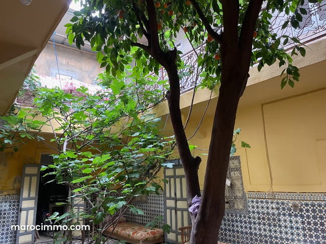 Riad à rénover très bien situé — 4
