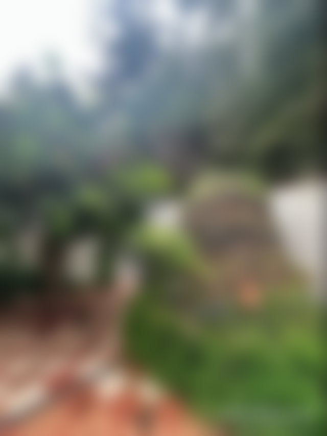 Villa à rénover à Riyad, Rabat : 432 m² plein sud — 4