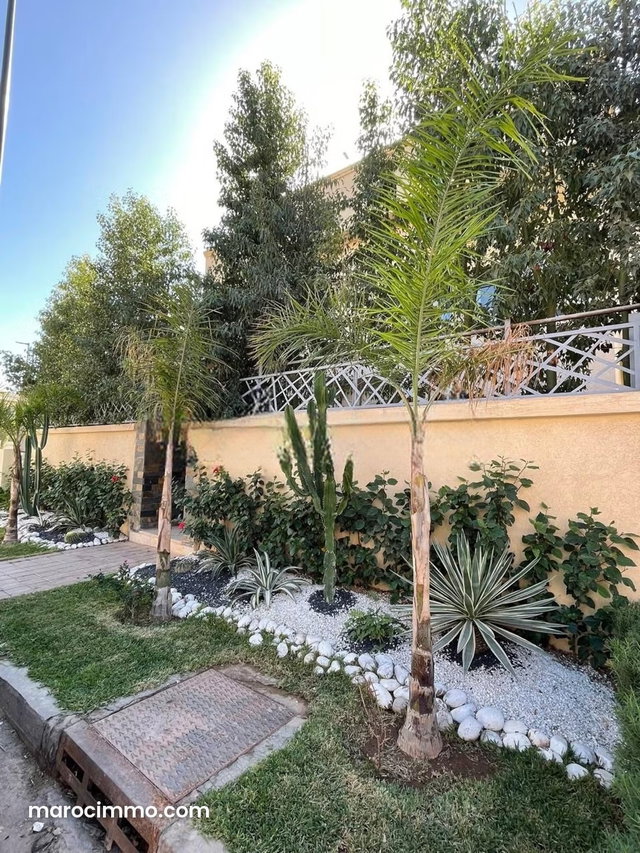Très bon affaire à ne pas rater sur Marrakech — 5