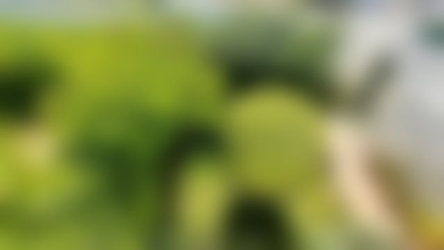 فيلا مفروشة بمسبح وإطلالة بحرية في بلاج روز ماراي بسكيرات — 5