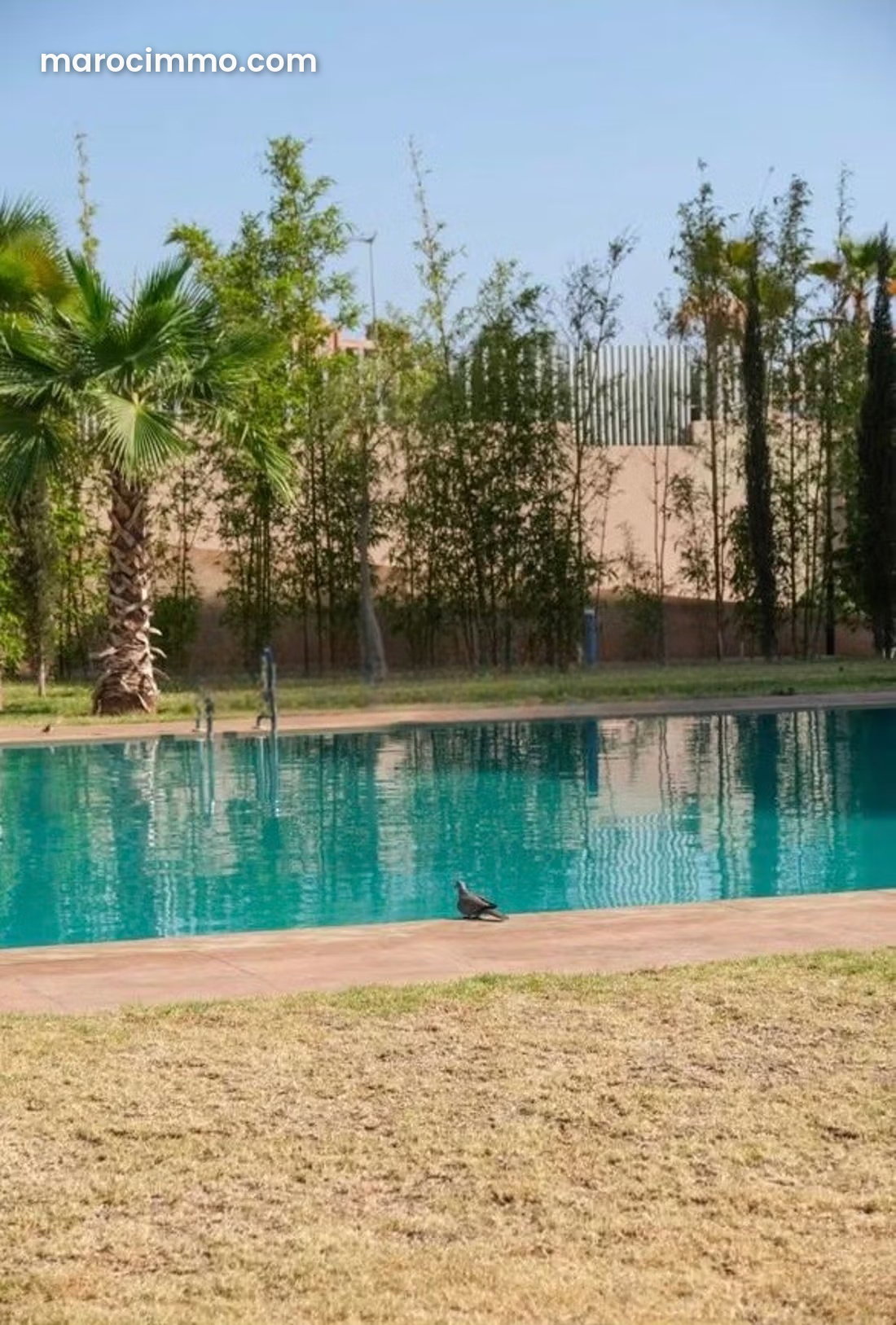 Furnished Apartment with Pool in Agdal, Marrakech — Marrakesh