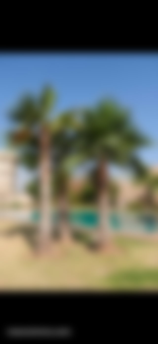 Appartement meublé avec piscine à Agdal Marrakech — 2