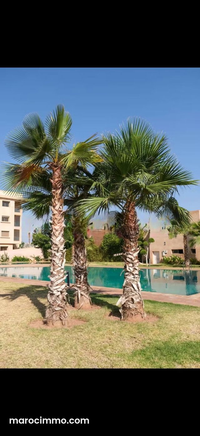 Appartement à vendre à Agdal. Superficie 96 m². Bien meublé — 2