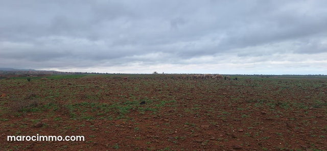 Terrain agricole titré 3.7 ha près de Tahnaout — 3