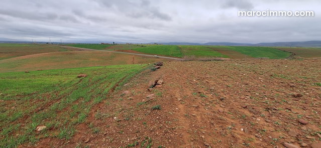 Terrain agricole titré 3.7 ha près de Tahnaout — 2