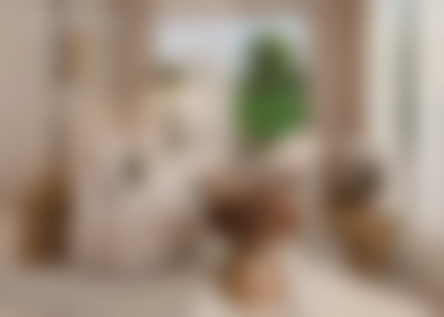 Villa neuve 210 m², piscine et jardin privés, Route d'Amezmiz — 5