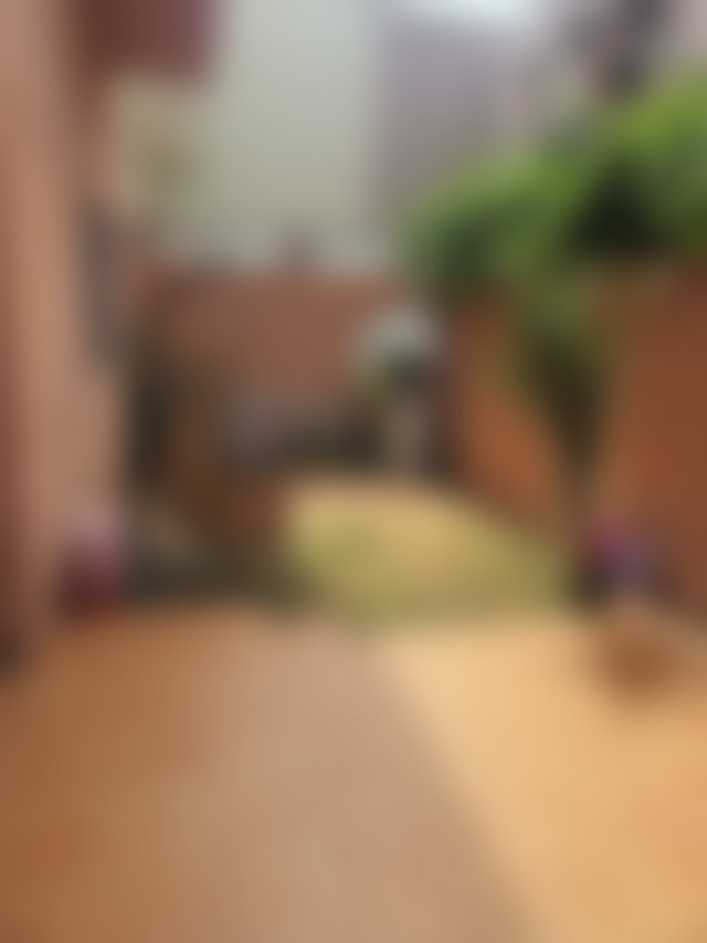 Villa 4 chambres avec jardin, Route d'Agadir, Marrakech — 3