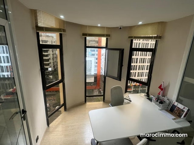 Location bureau palmier proche bd 116 m — 4