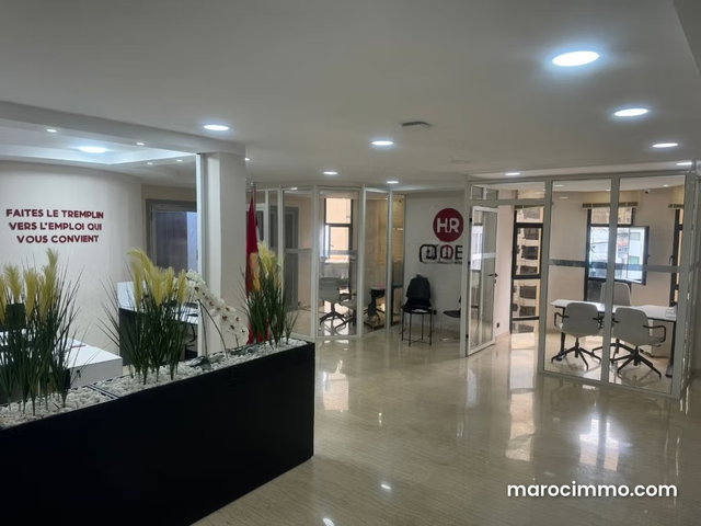 Location bureau palmier proche bd 116 m — 3