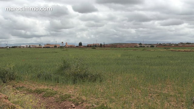 Rare terrain titré de 1 hectare en bord de route — 3
