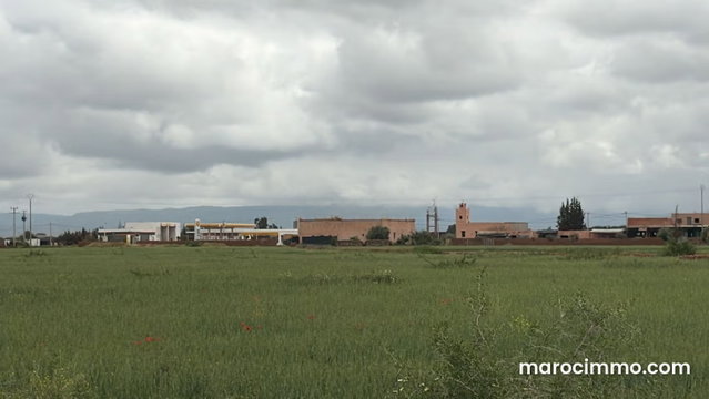 Rare terrain titré de 1 hectare en bord de route — 5