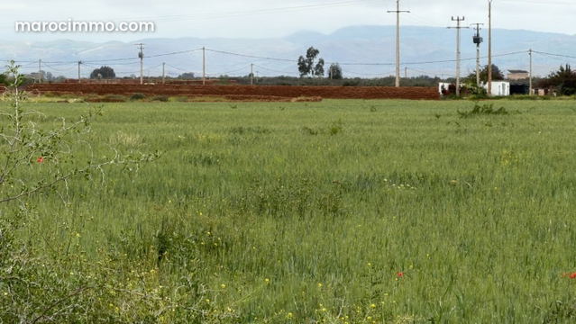 Rare 1-hectare land plot on the roadside — Marrakesh