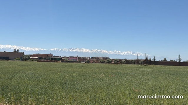 Jolie terrain titré de 11 600 M2, KM 18 route de Fès — 3